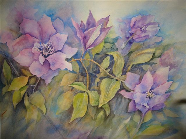 2008 Clematis Watercolour